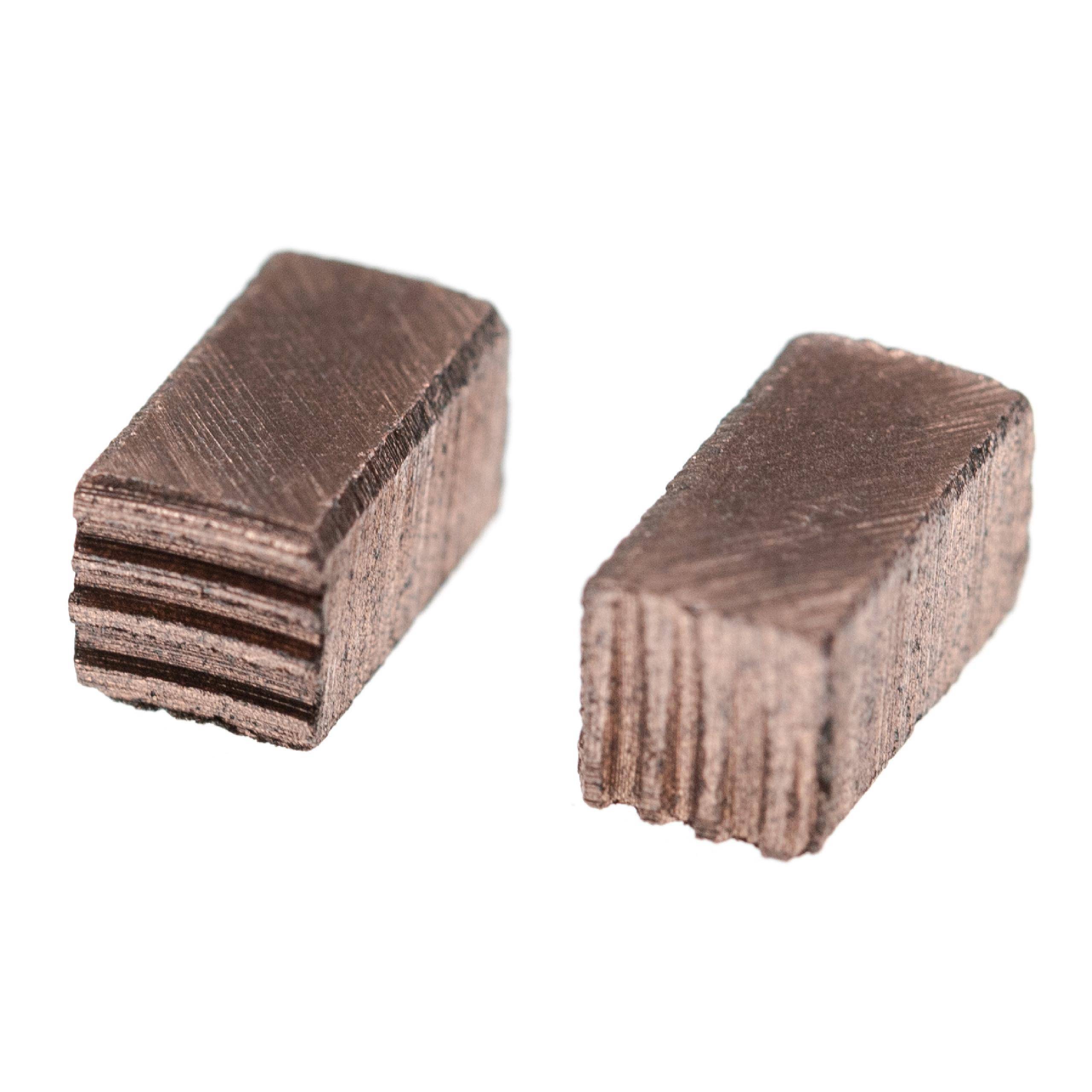 vhbw 2x Kohlebürste Motorkohle Schleifkohle 10 x 5 x 5mm kompatibel mit Wiper Mähroboter