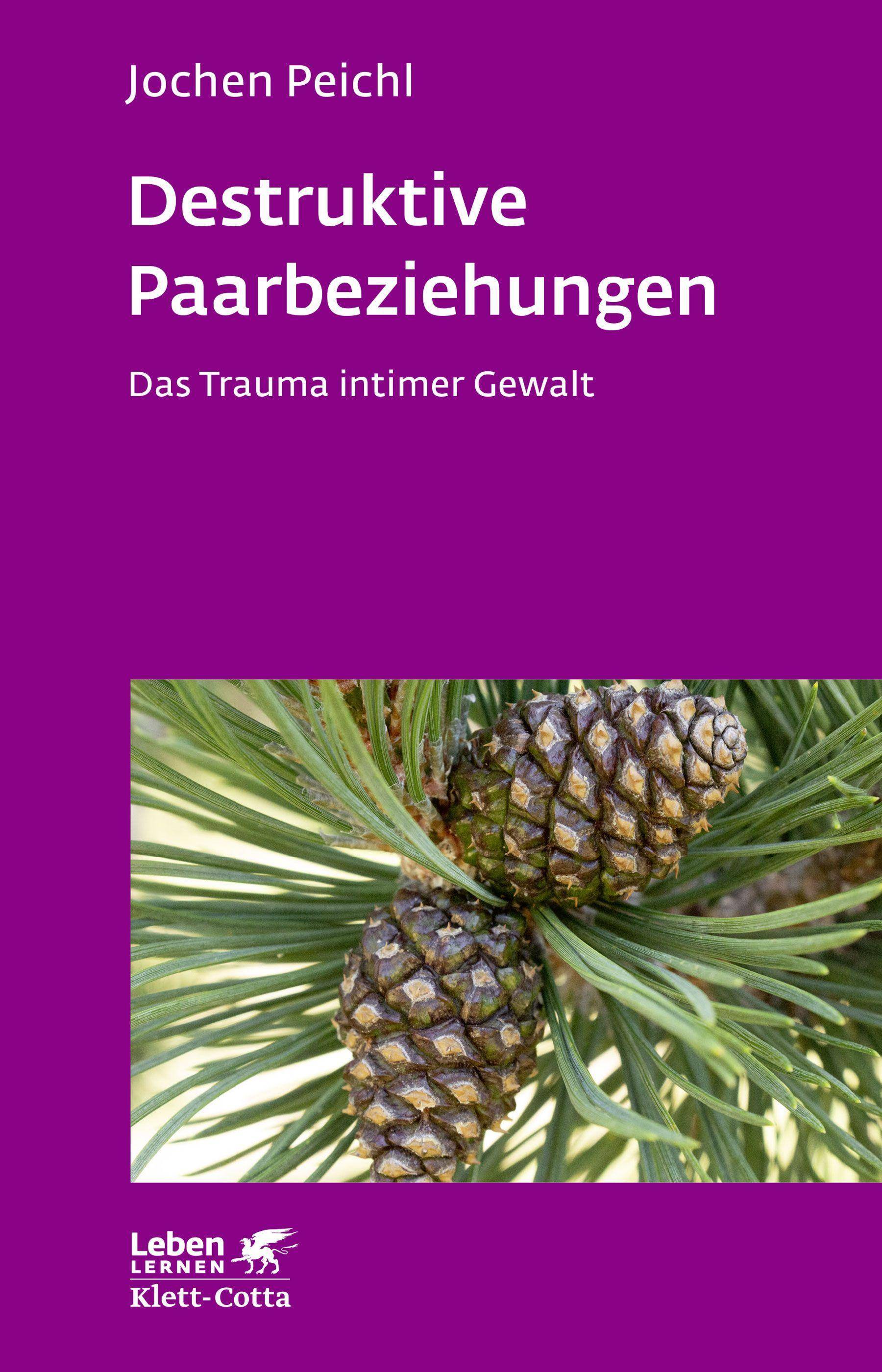 Destruktive Paarbeziehungen Das Trauma intimer Gewalt