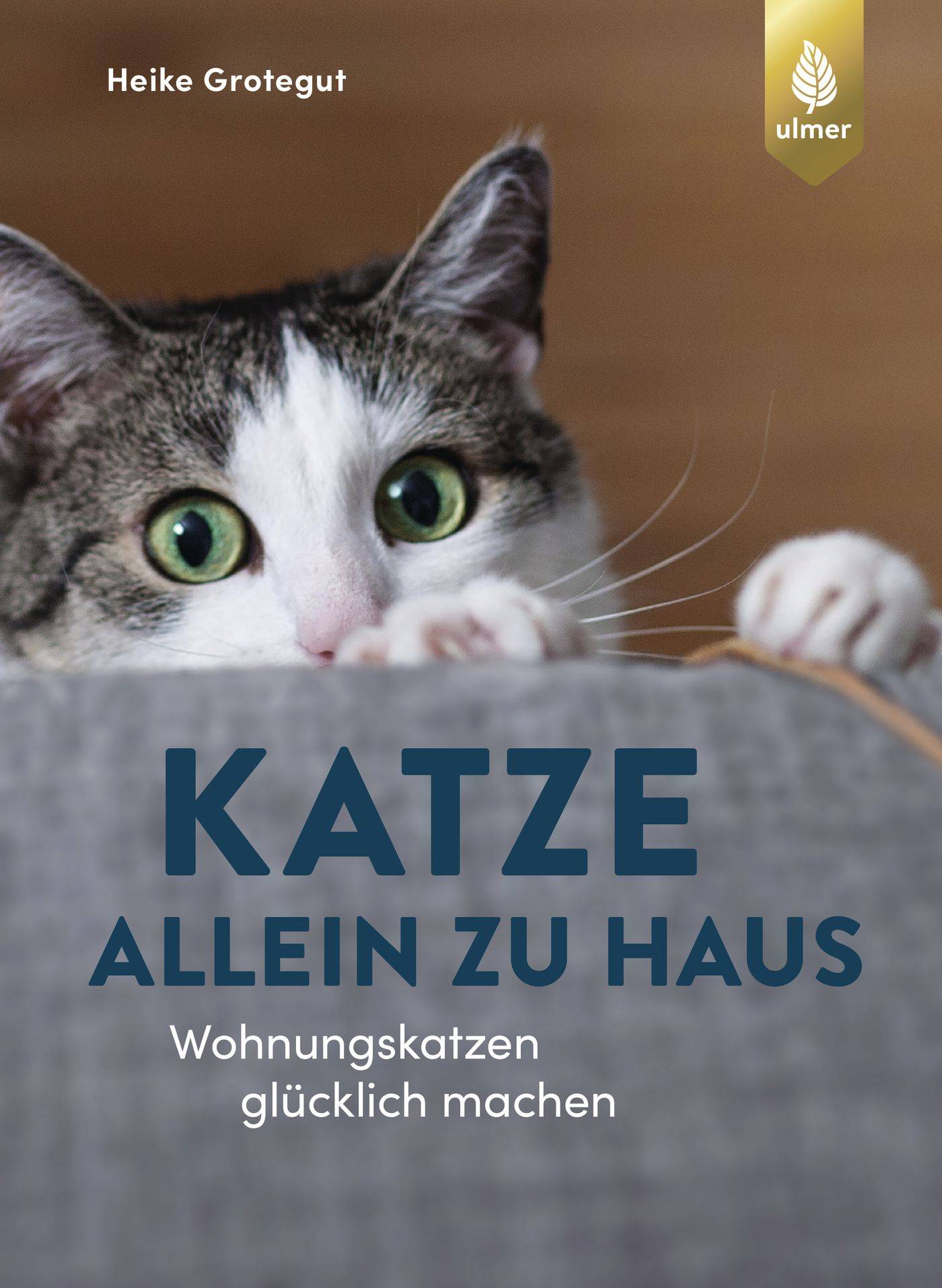 Katze allein zu Haus Wohnungskatzen glücklich machen