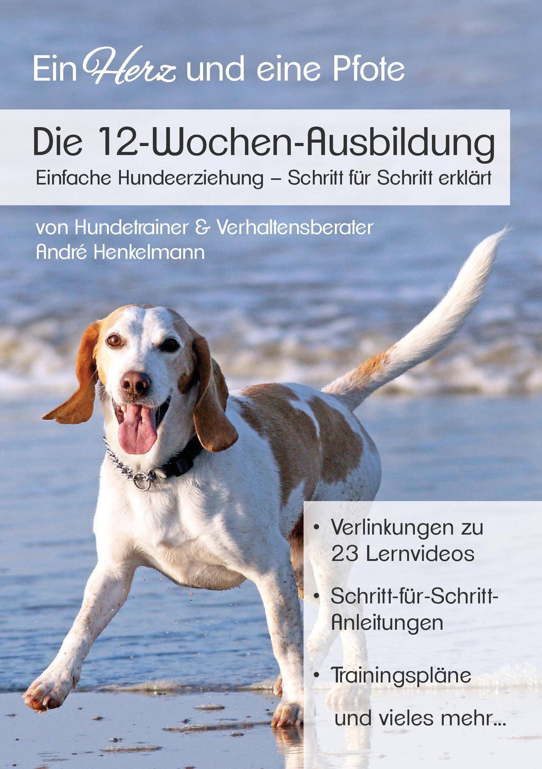 Die 12-Wochen-Ausbildung Einfache Hundeerziehung - Schritt für Schritt erklärt