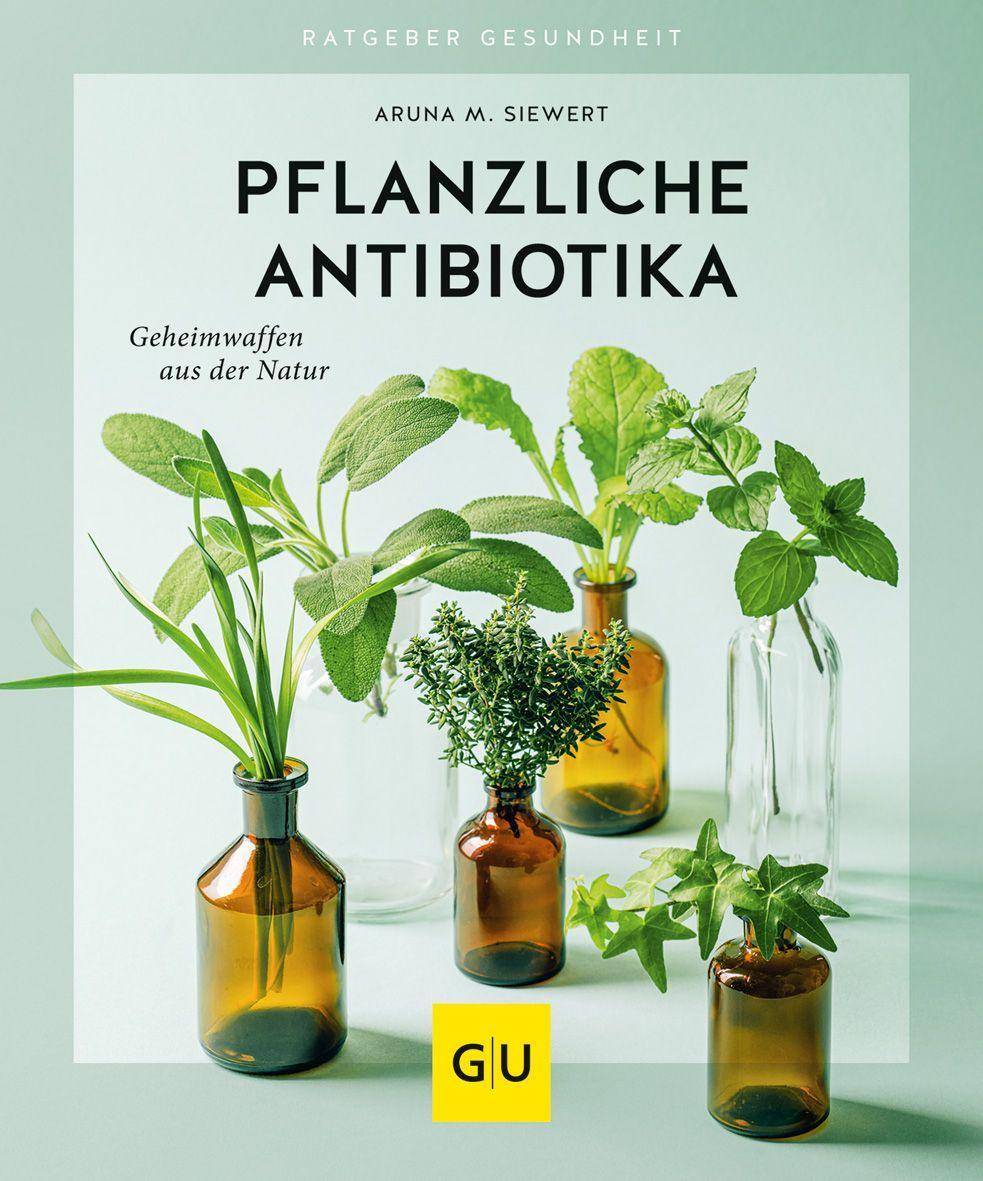 Pflanzliche Antibiotika Geheimwaffen aus der Natur