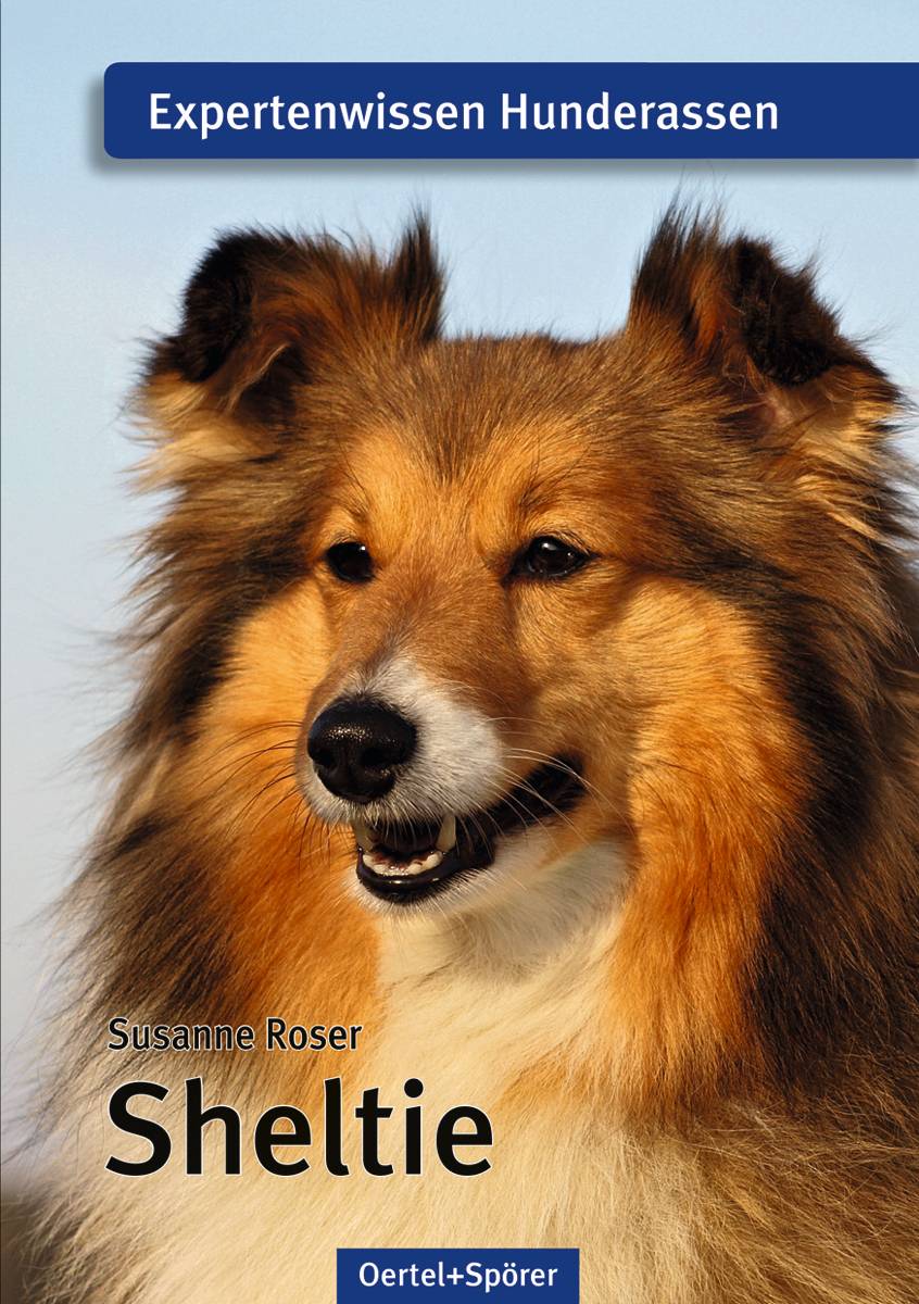 Sheltie Expertenwissen Hunderassen