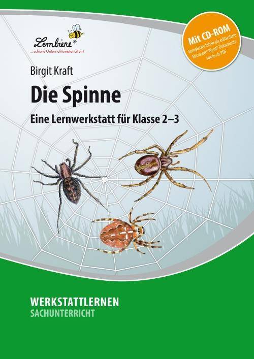 Die Spinne, mit CD-ROM Eine Lernwerkstatt für Klasse 2-3. Kopiervorlagen, editierbare Microsoft® Word® Dateien und PDF