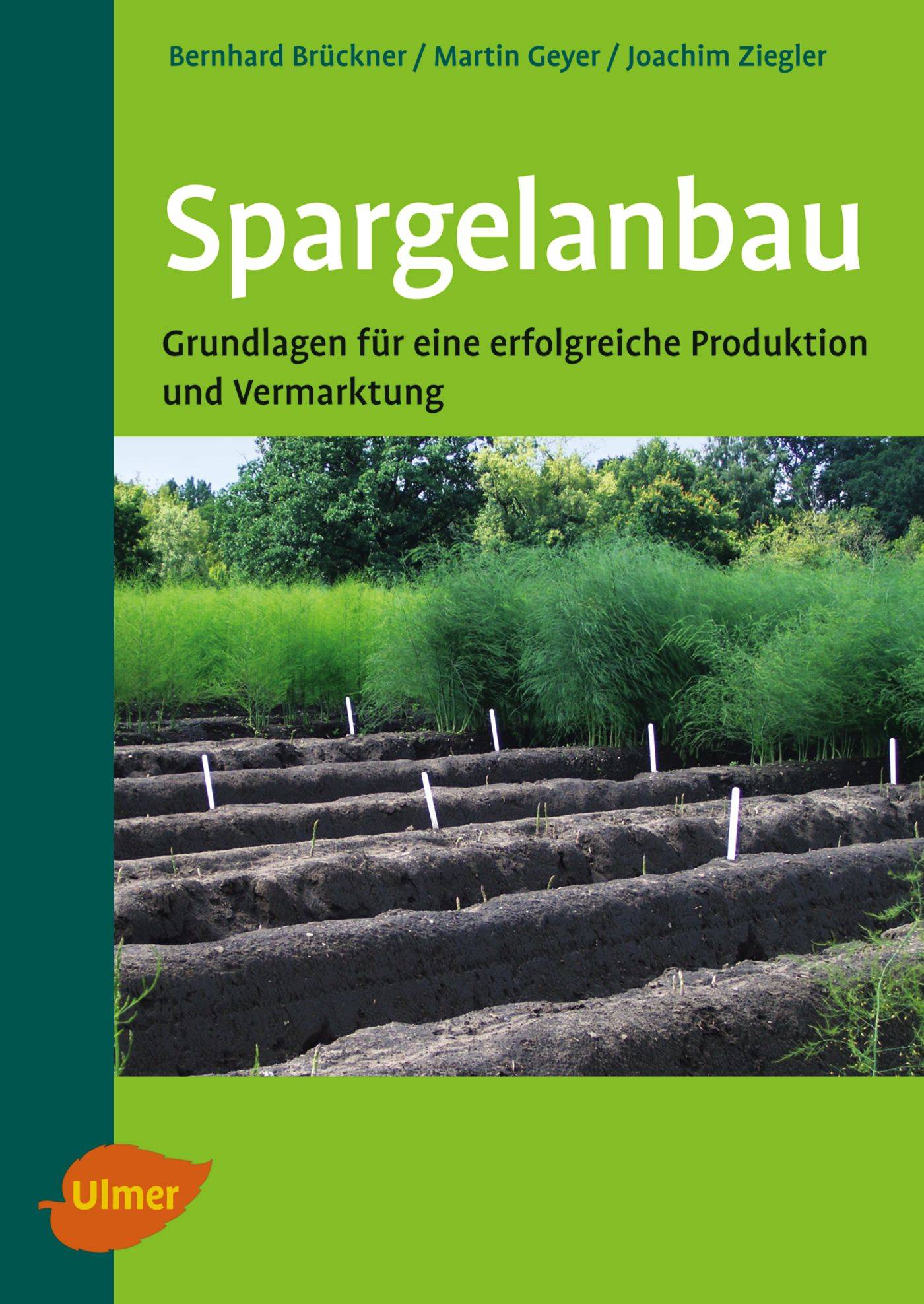 Spargelanbau Grundlagen für eine erfolgreiche Produktion und Vermarktung