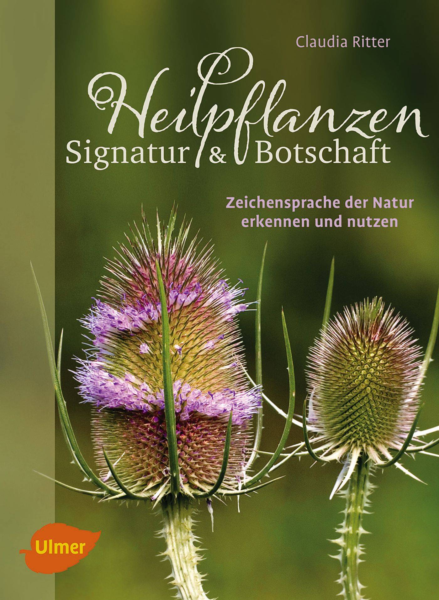 Heilpflanzen. Signatur und Botschaft Zeichensprache der Natur erkennen und nutzen