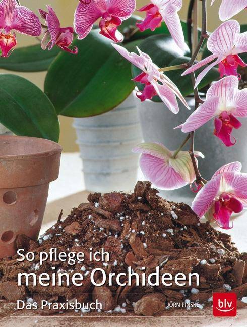 So pflege ich meine Orchideen Das Praxisbuch