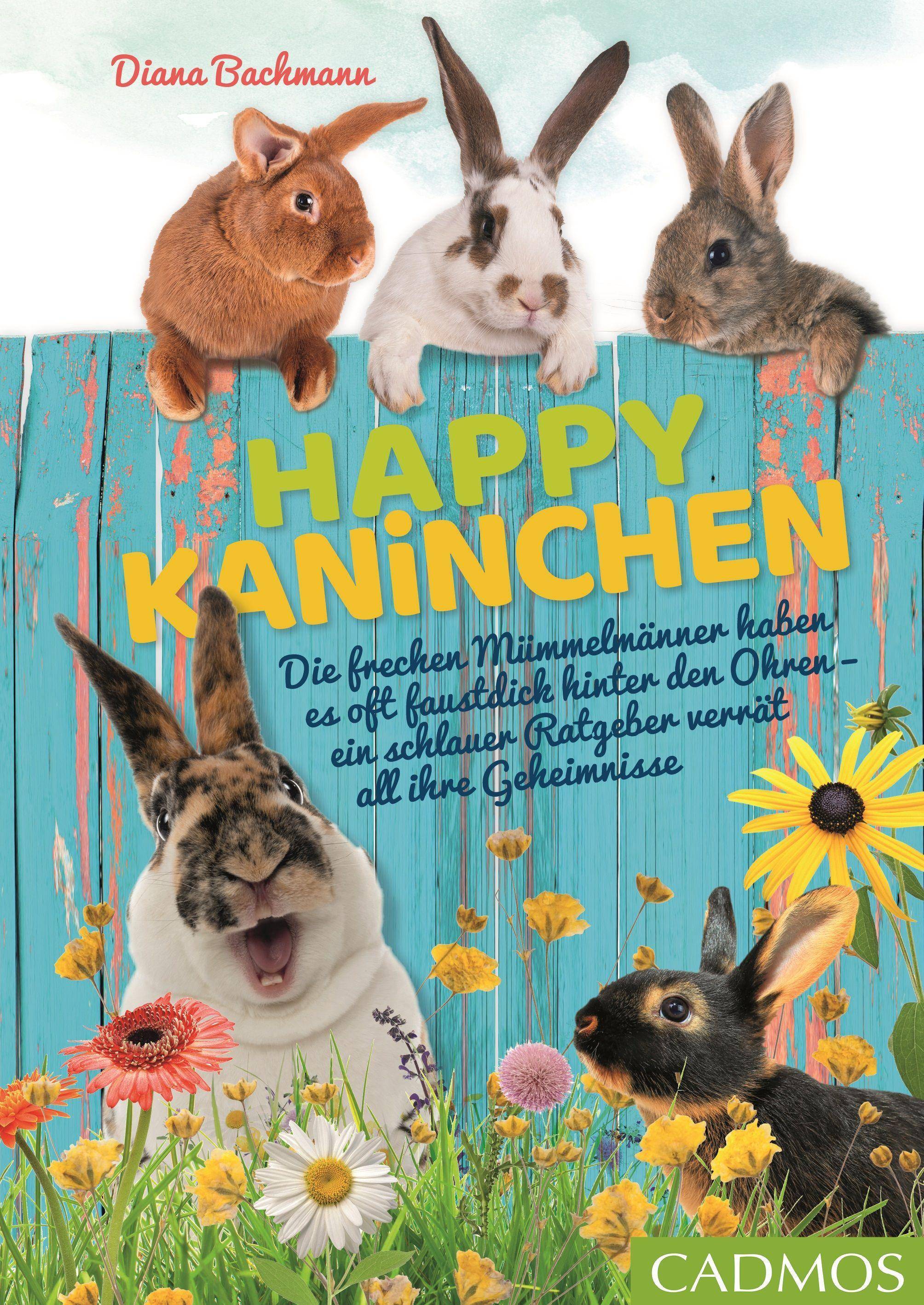Happy Kaninchen Die frechen Mümmelmänner haben es oft faustdick hinter den Ohren - ein schlauer Ratgeber verrät all ihre Geheimnisse
