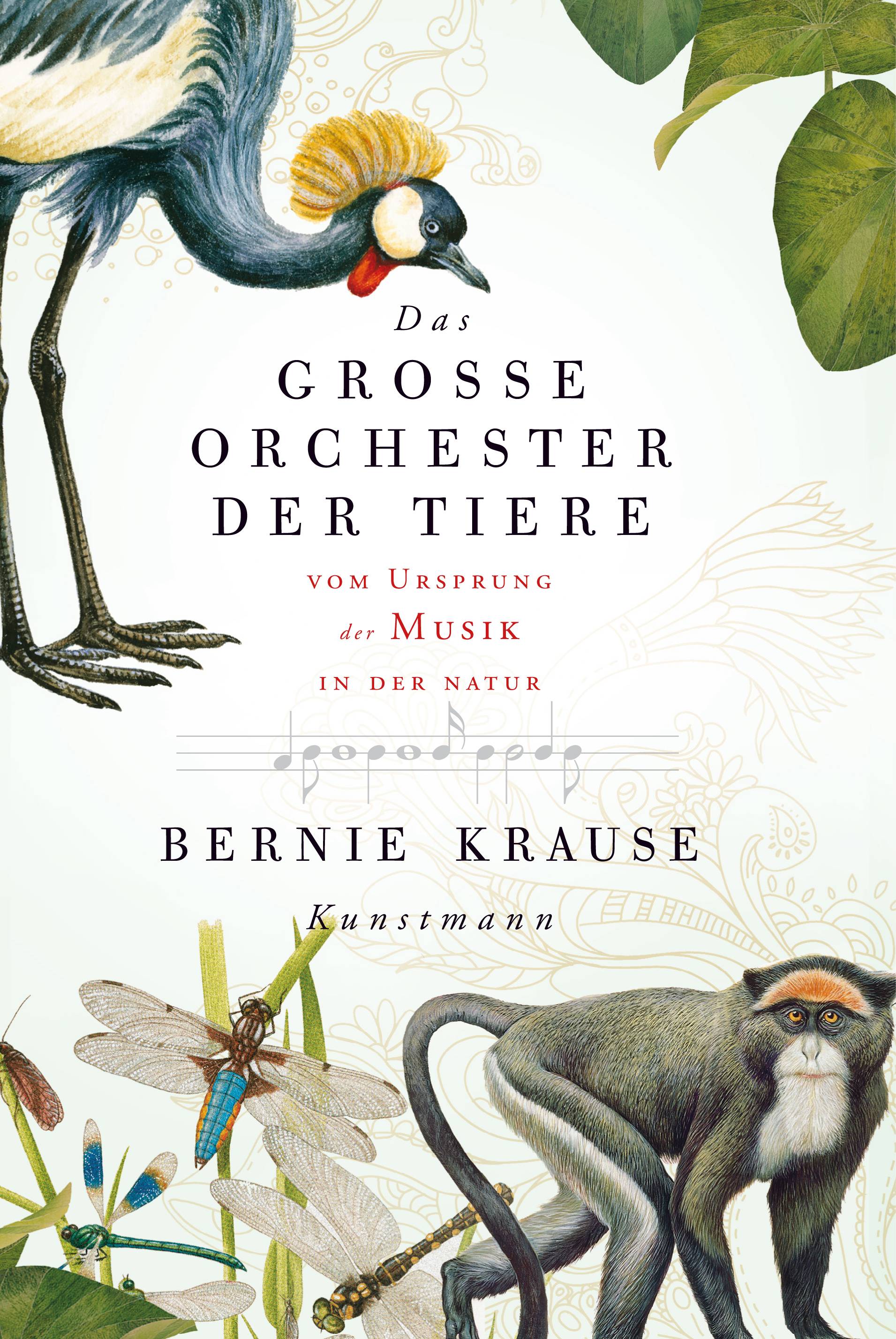 Das grosse Orchester der Tiere Vom Ursprung der Musik in der Natur