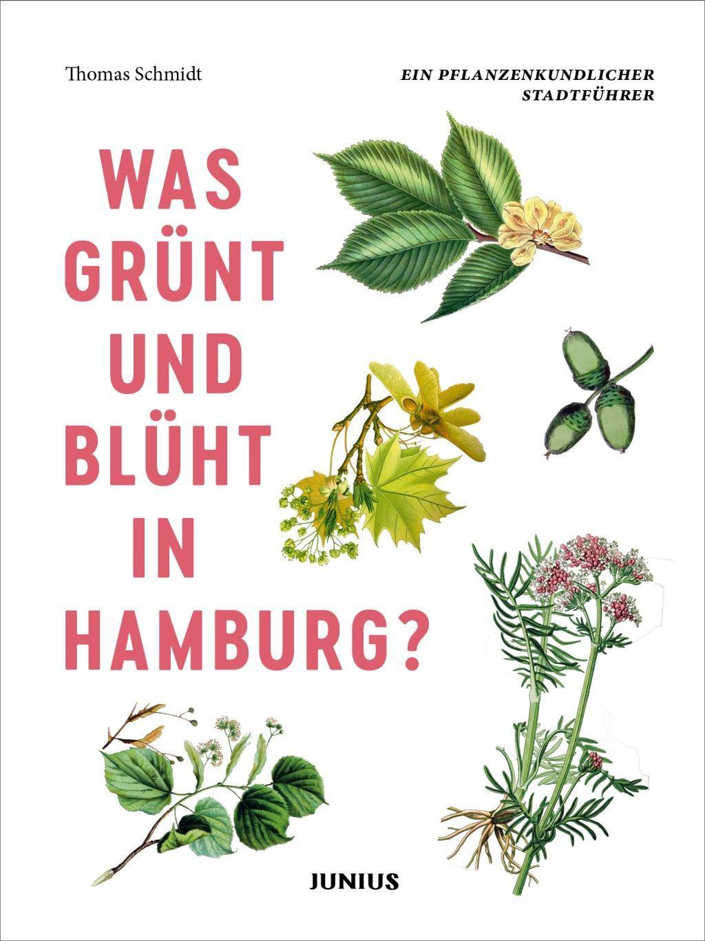 Was grünt und blüht in Hamburg? Ein pflanzenkundlicher Stadtführer
