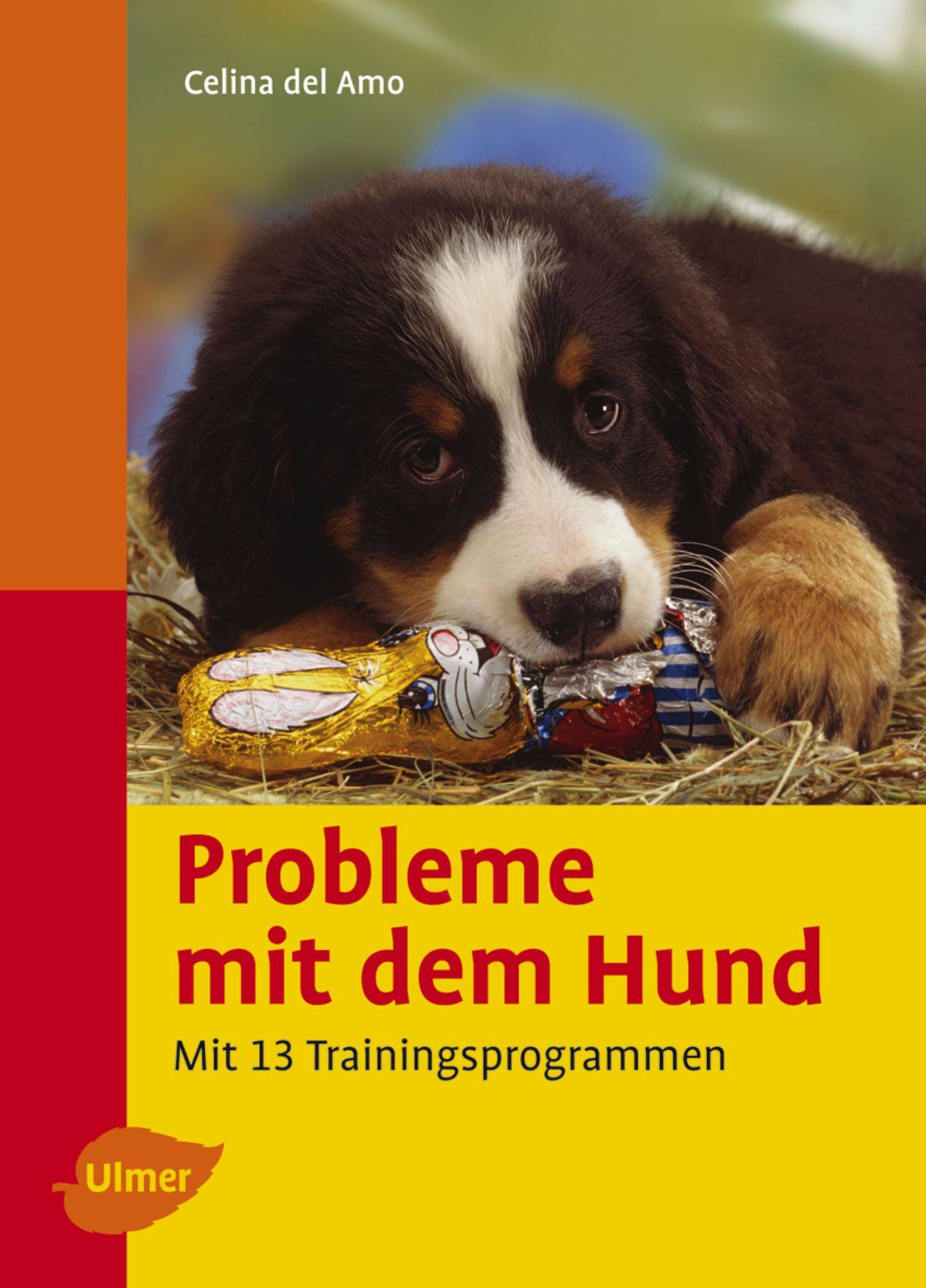 Probleme mit dem Hund Mit 13 Trainingsprogrammen