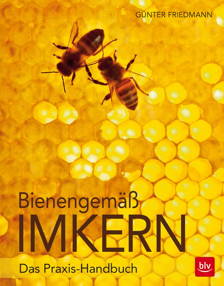 Bienengemäß imkern Das Praxis-Handbuch