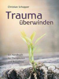 Trauma überwinden Ein Handbuch für Therapeuten und Betroffene