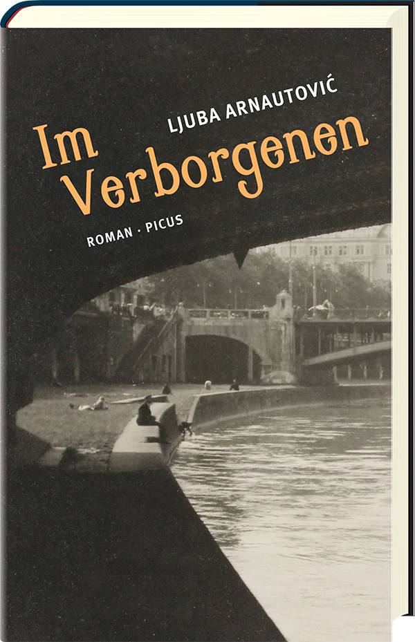 Im Verborgenen Roman