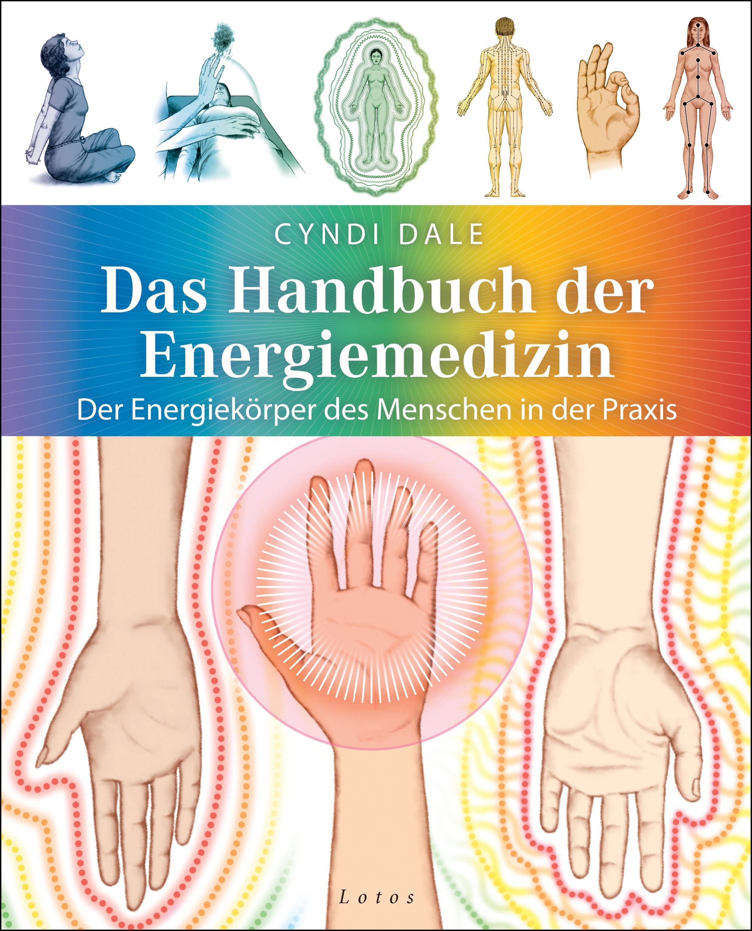 Das Handbuch der Energiemedizin Der Energiekörper des Menschen in der Praxis