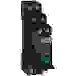 Schneider Electric Interface-Relais RXG21BDPV
