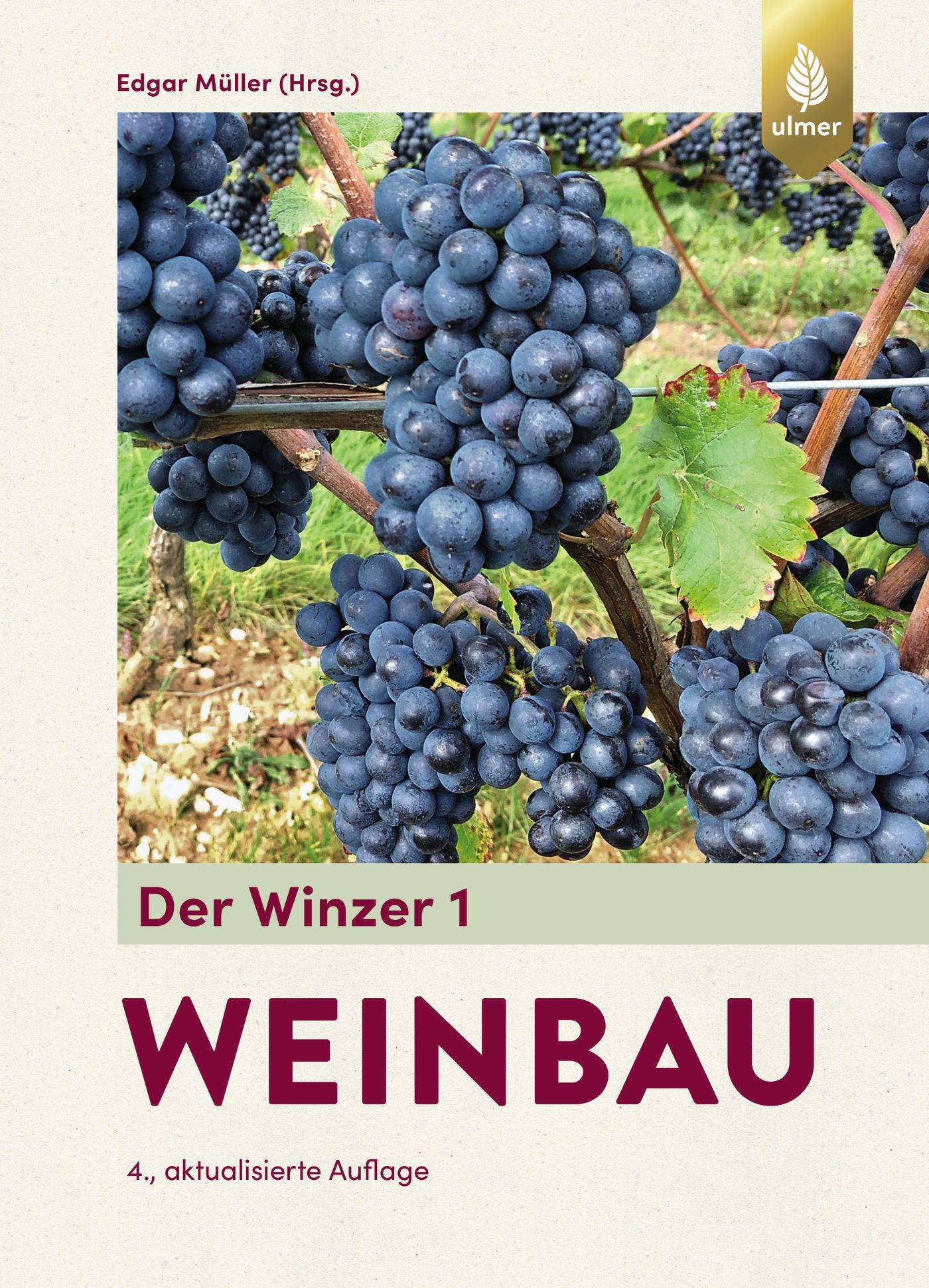 Der Winzer 1 Weinbau