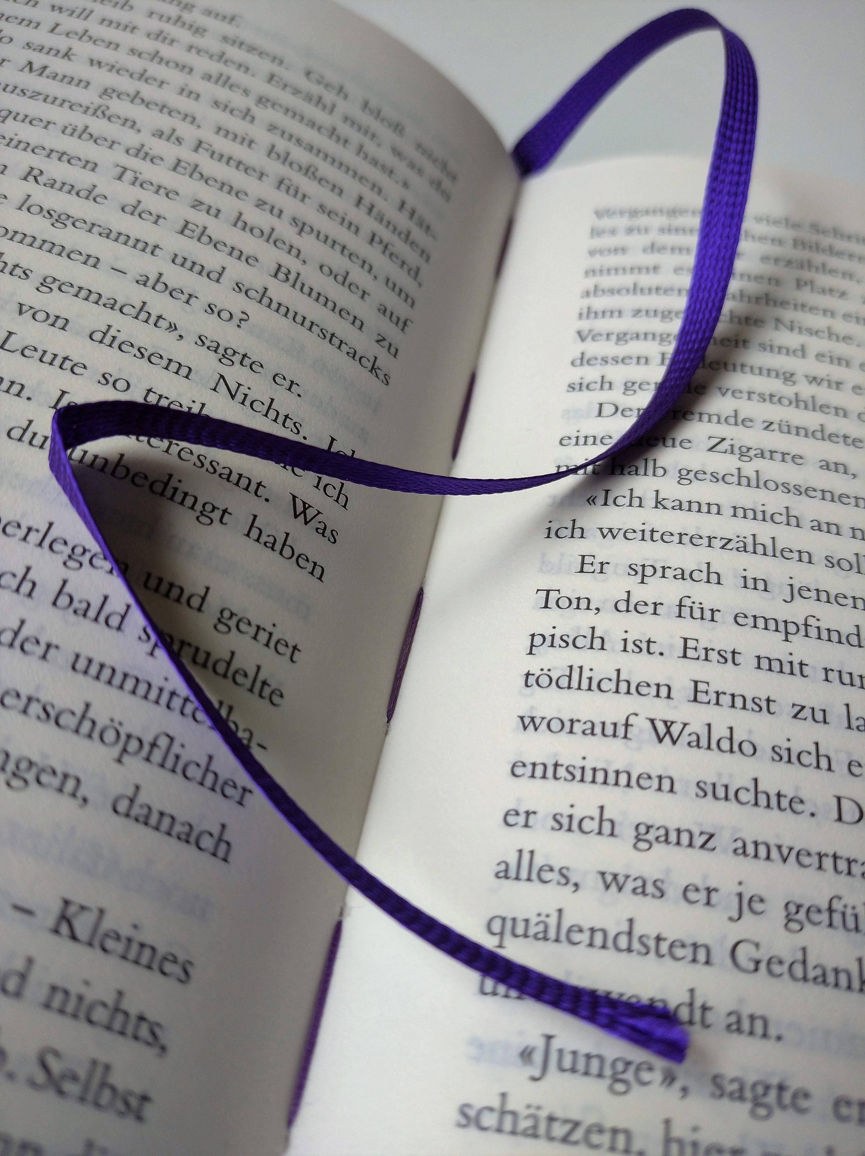 Die Geschichte einer afrikanischen Farm Manesse Bibliothek 21