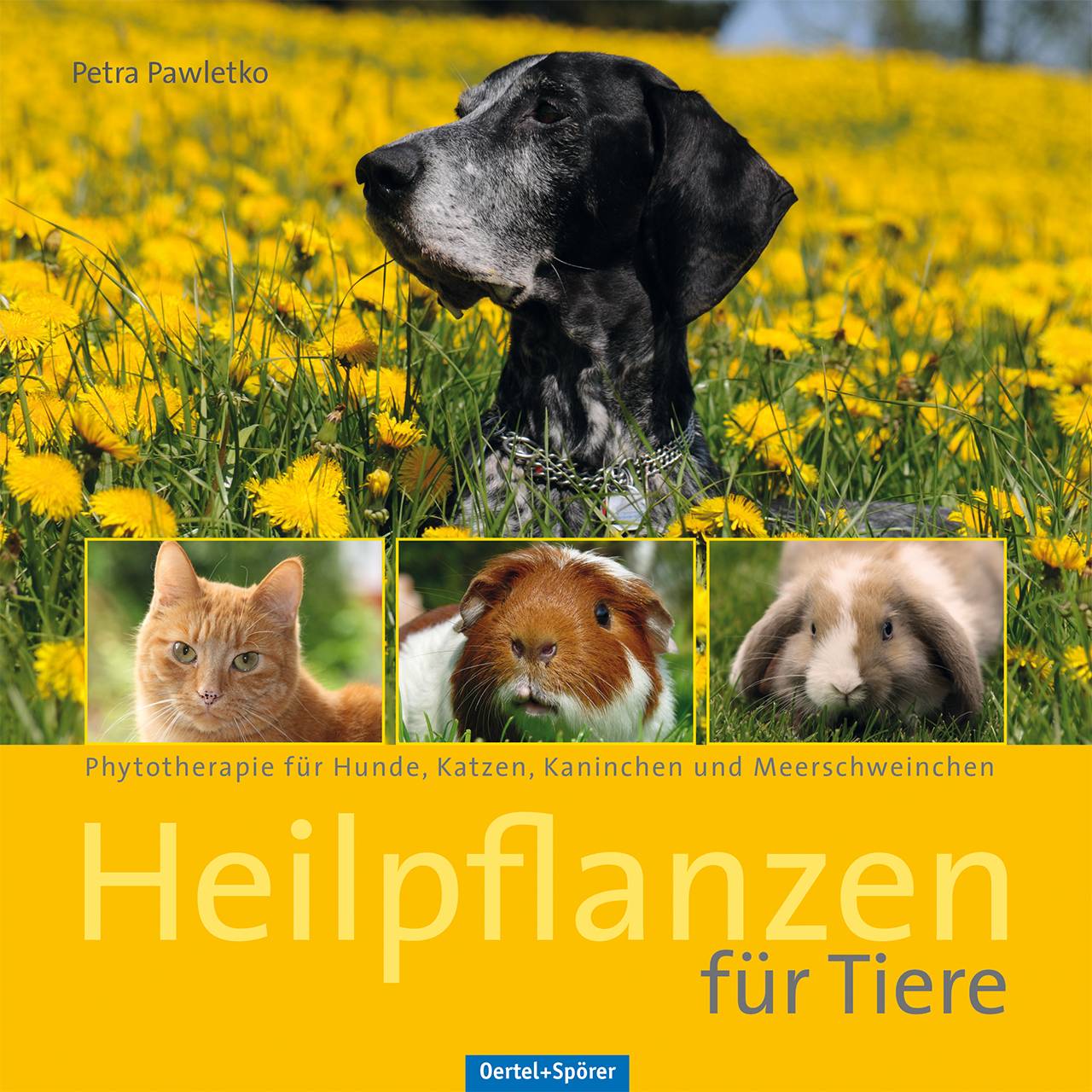 Heilpflanzen für Tiere Phytotherapie für Hunde, Katzen, Kaninchen und Meerschweinchen