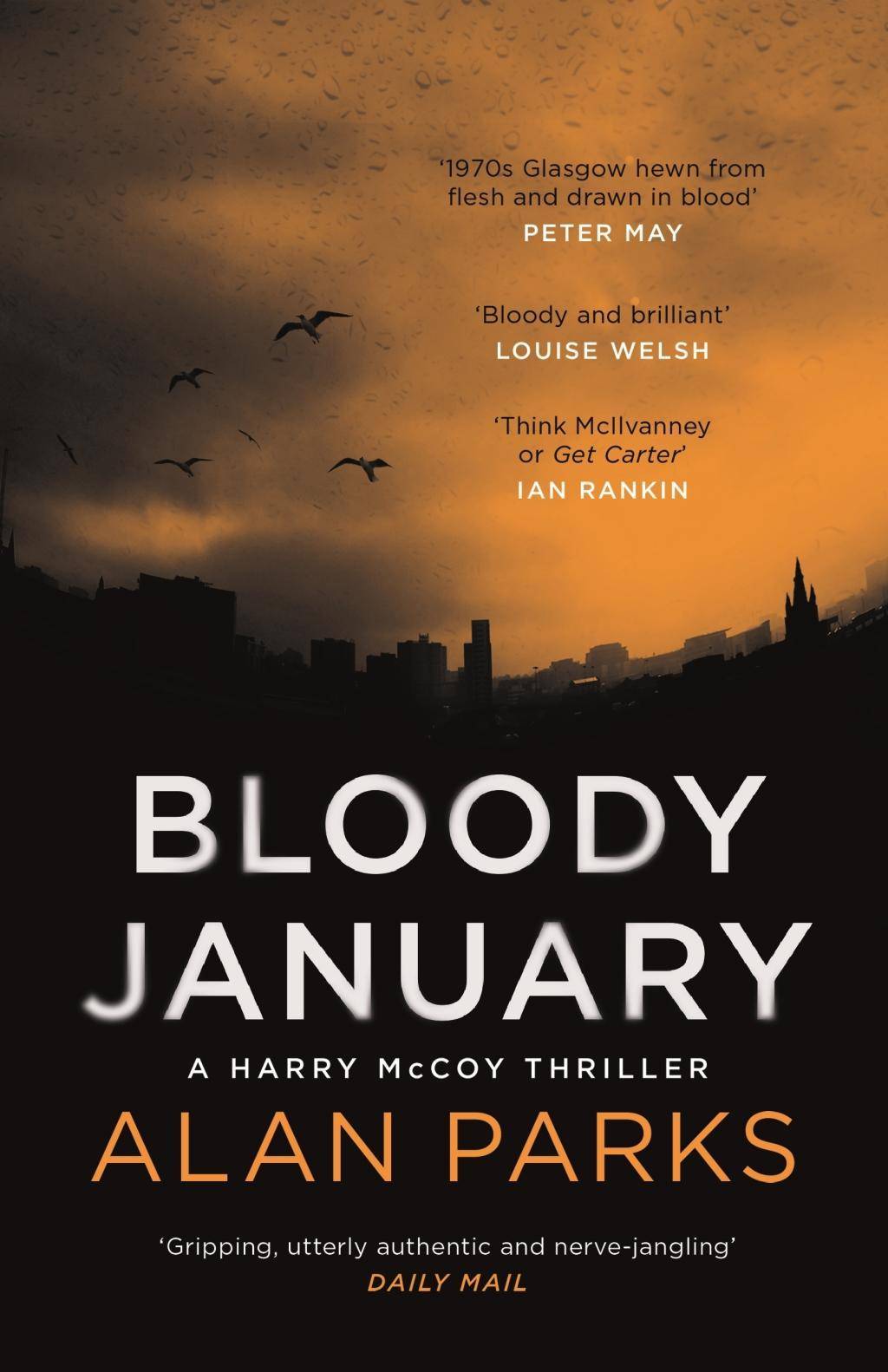 Bloody January A Harry McCoy Thriller