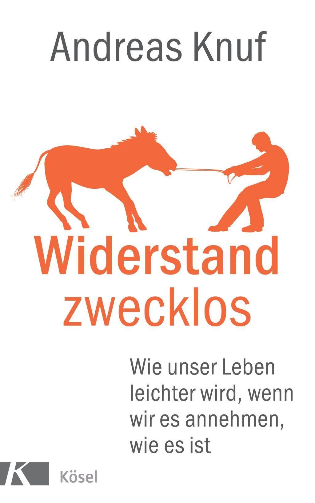 Widerstand zwecklos Wie unser Leben leichter wird, wenn wir es annehmen, wie es ist