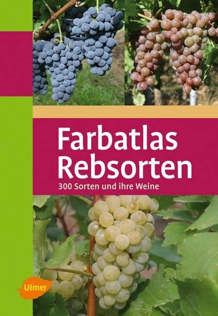 Rebsorten 300 Sorten und ihre Weine