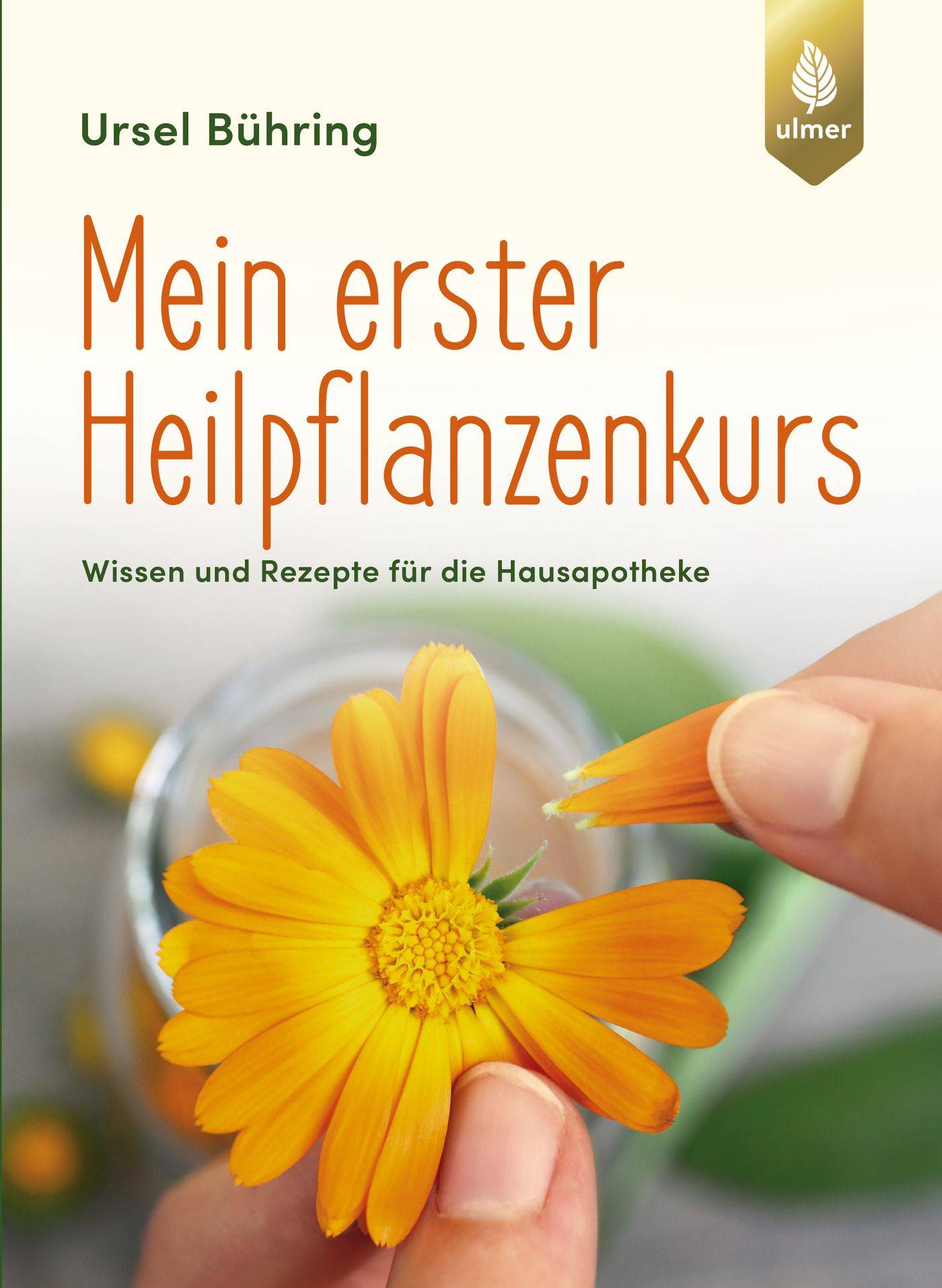 Mein erster Heilpflanzen-Kurs Wissen und Rezepte für die Hausapotheke