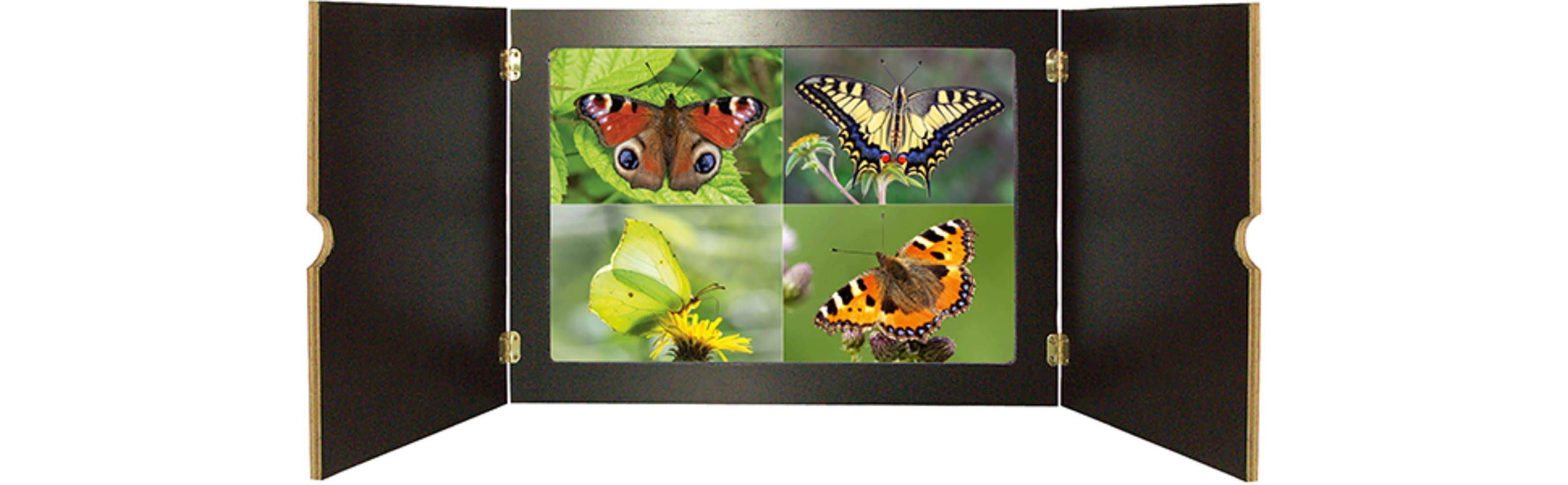Ameise, Biene und Schmetterling. Unsere Insekten. Kamishibai Bildkarten und Memo-Spiel Sachwissen spannend vermitteln mit dem Erzähltheater. Für Kit