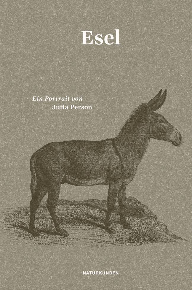 Esel Ein Portrait