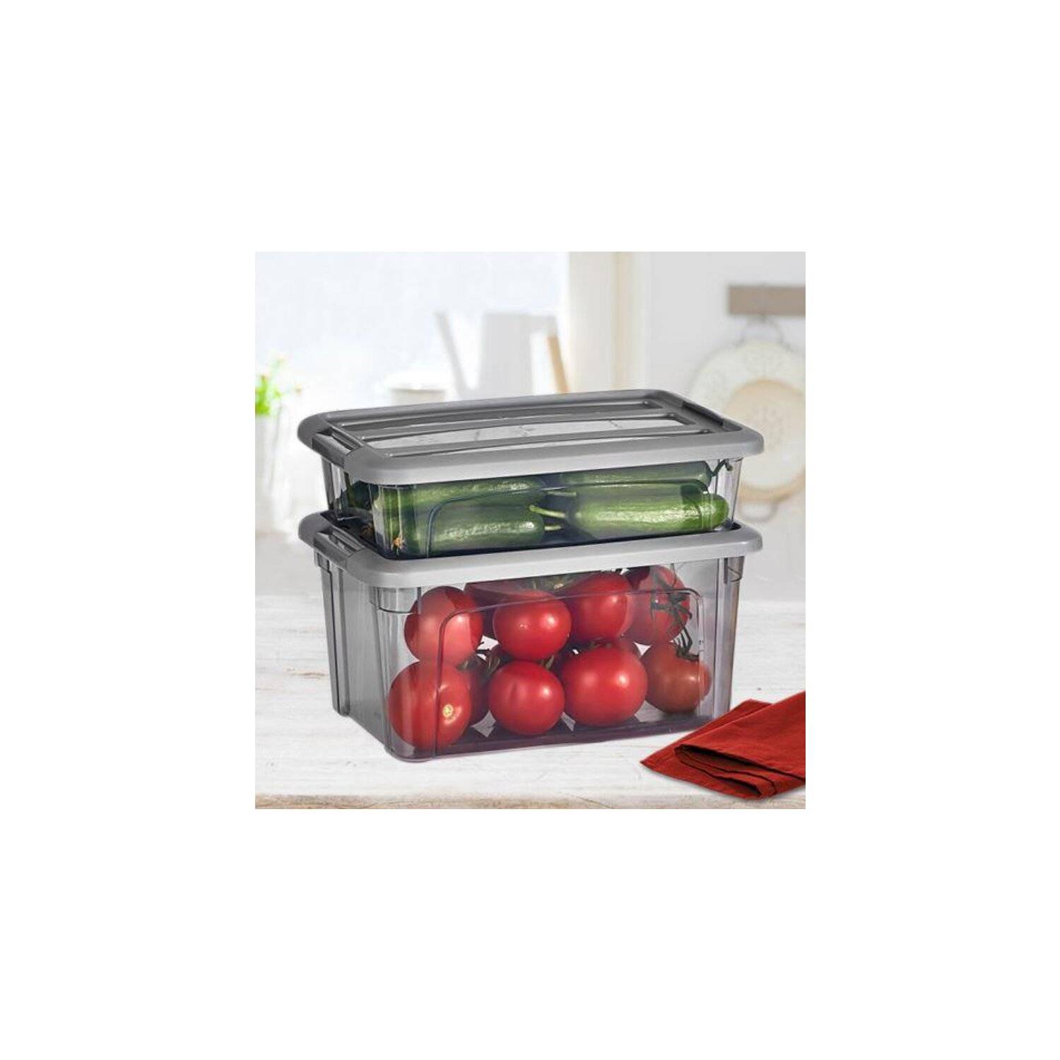 Vip Ahmet Frischhaltedose Organizer Behälter Vorratsbehälter Vorratsdosen Grau-Transparent 2,8L