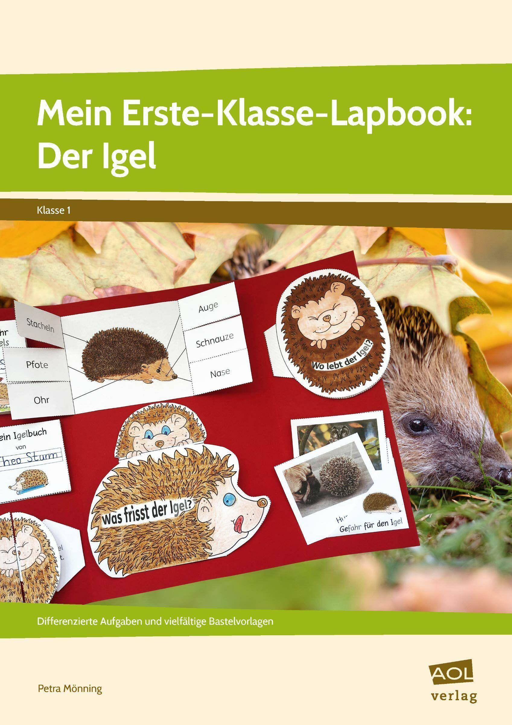 Mein Erste-Klasse-Lapbook: Der Igel Differenzierte Aufgaben und vielfältige Bastelvorlagen