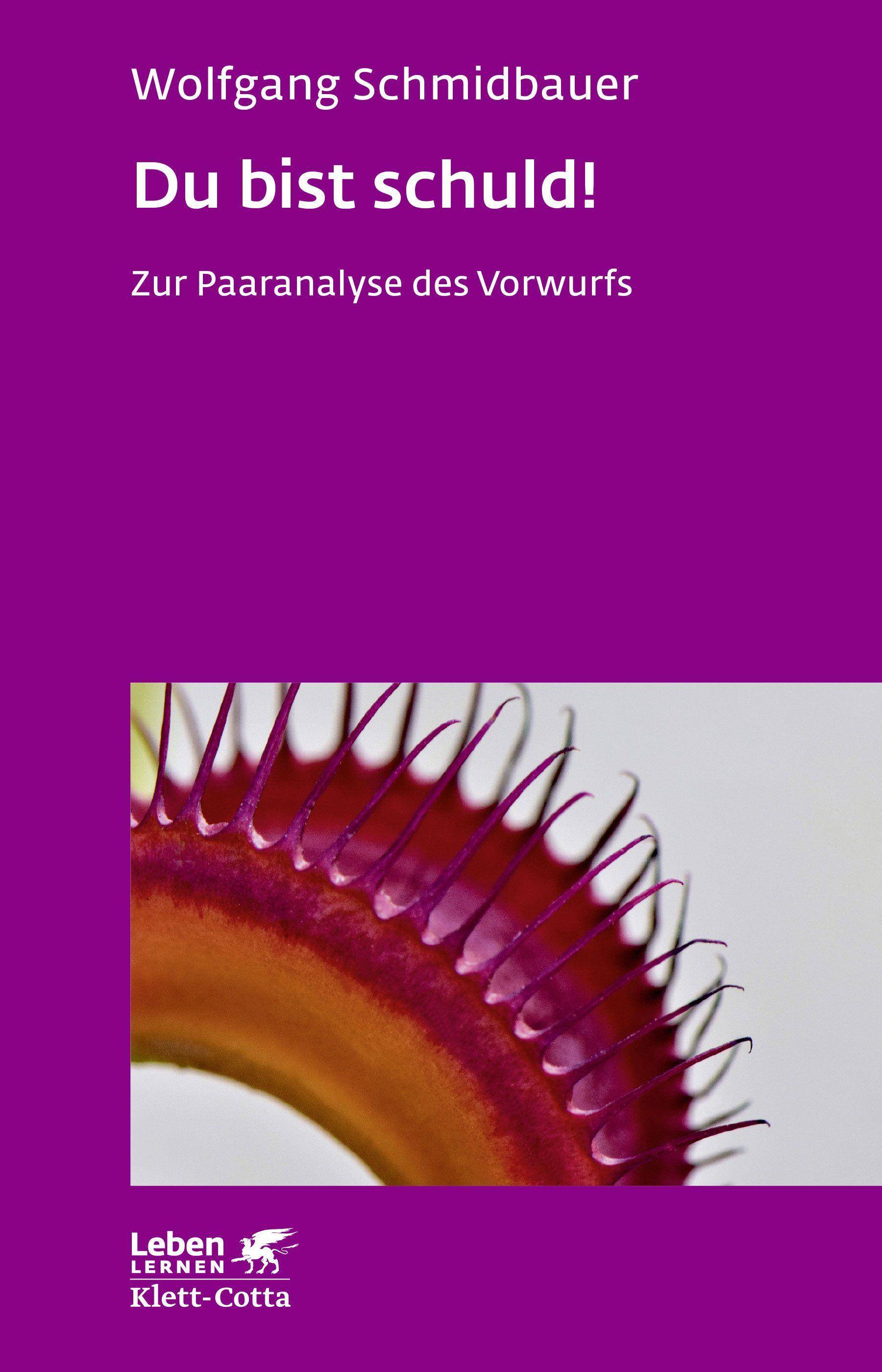 Du bist schuld! Zur Paaranalyse des Vorwurfs