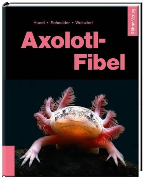 Axolotl-Fibel Ein Exot erobert unsere Aquarien