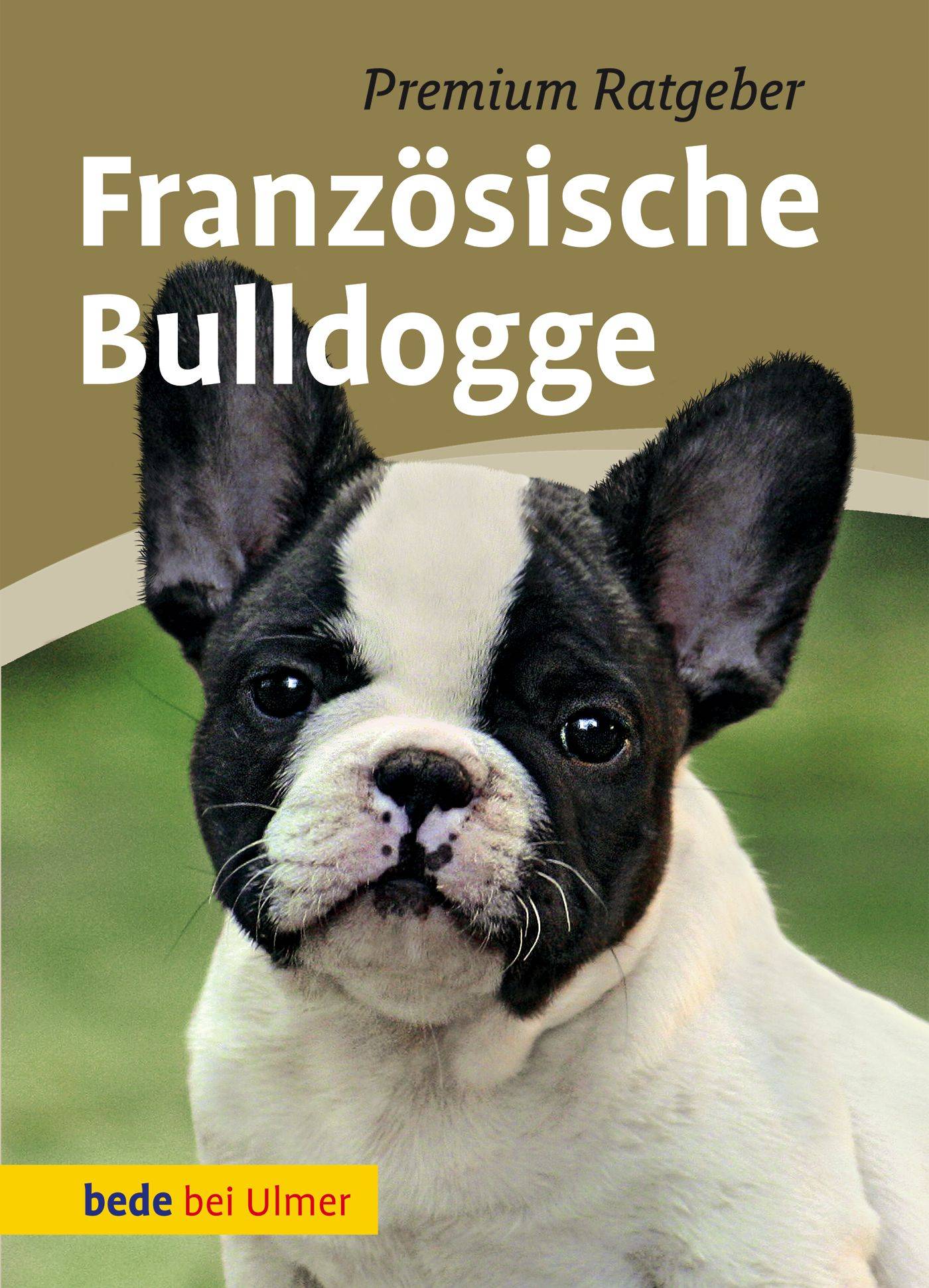 Französische Bulldogge Premium Ratgeber