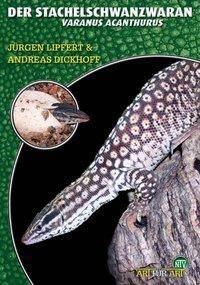 Der Stachelschwanzwaran Varanus acanthurus