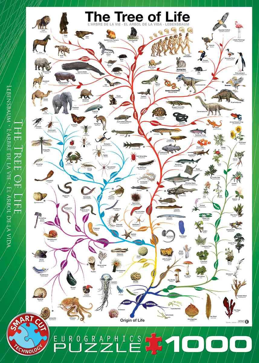 Eurographics 6000-0282 - Der Lebensbaum, Puzzle Der Lebensbaum, Anzahl Teile: 1000, Maße (B/H): 48 x 68 cm, Eurographics-Puzzle, Smart Cut Technology