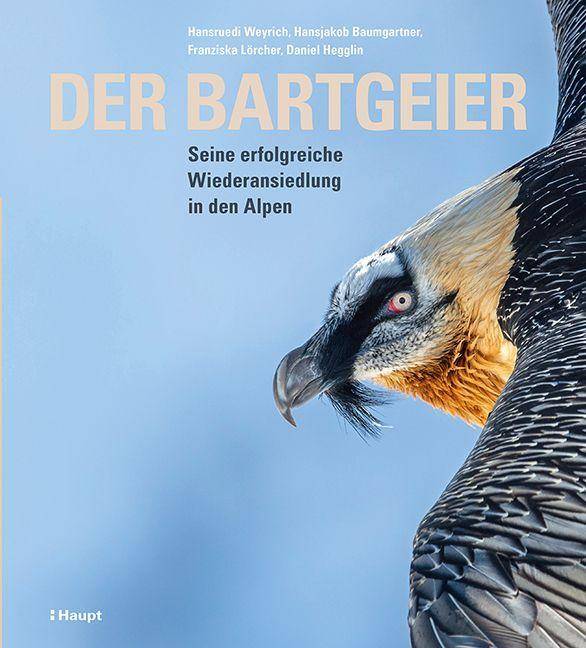 Der Bartgeier Seine erfolgreiche Wiederansiedlung in den Alpen