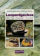 Leopardgeckos Pflege, Zucht, Erkrankungen, Farbvarianten