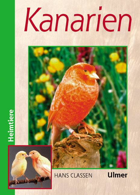 Kanarien Verhalten, Ernährung, Pflege