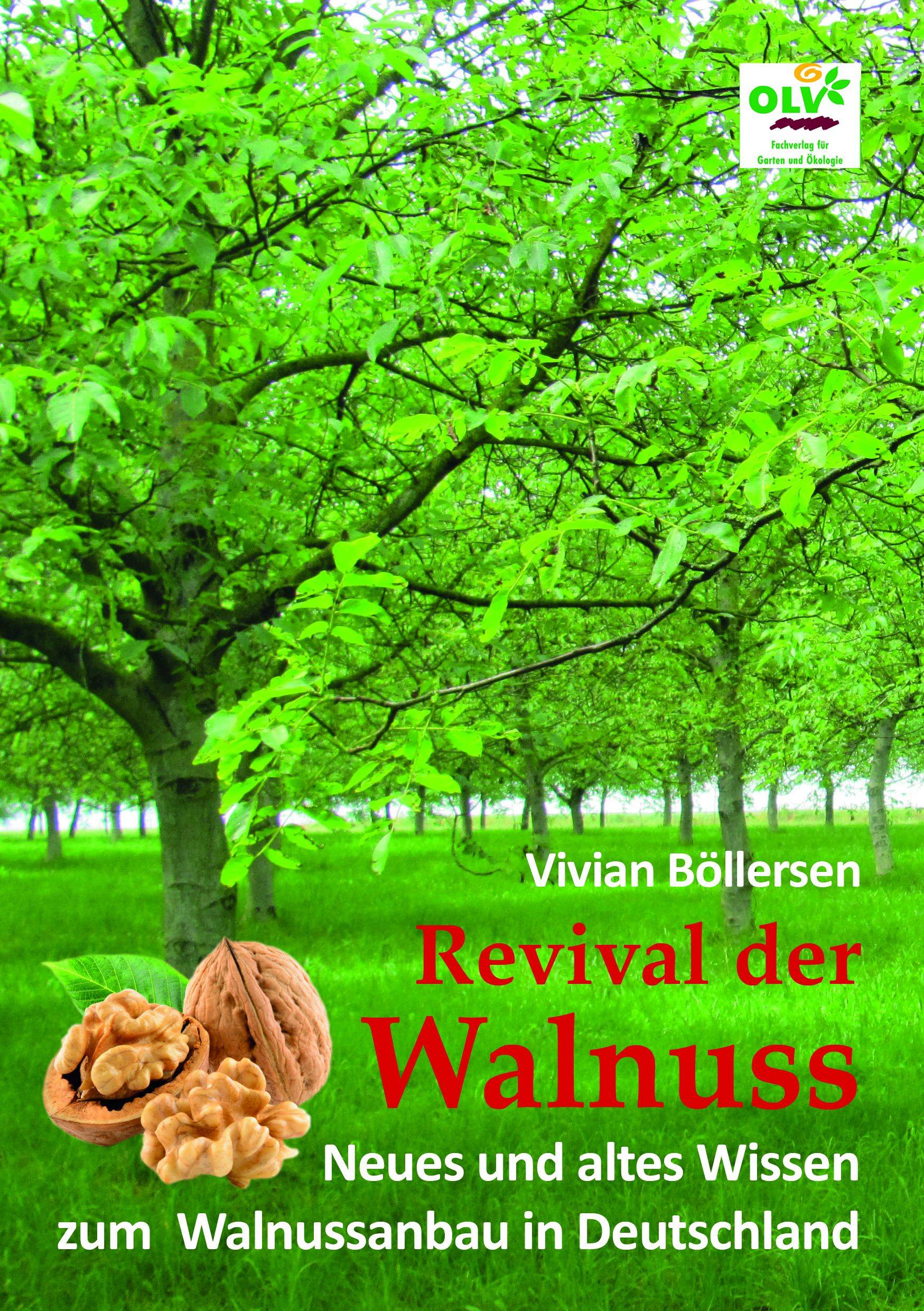 Revival der Walnuss Neues und altes Wissen zum Walnussanbau in Deutschland