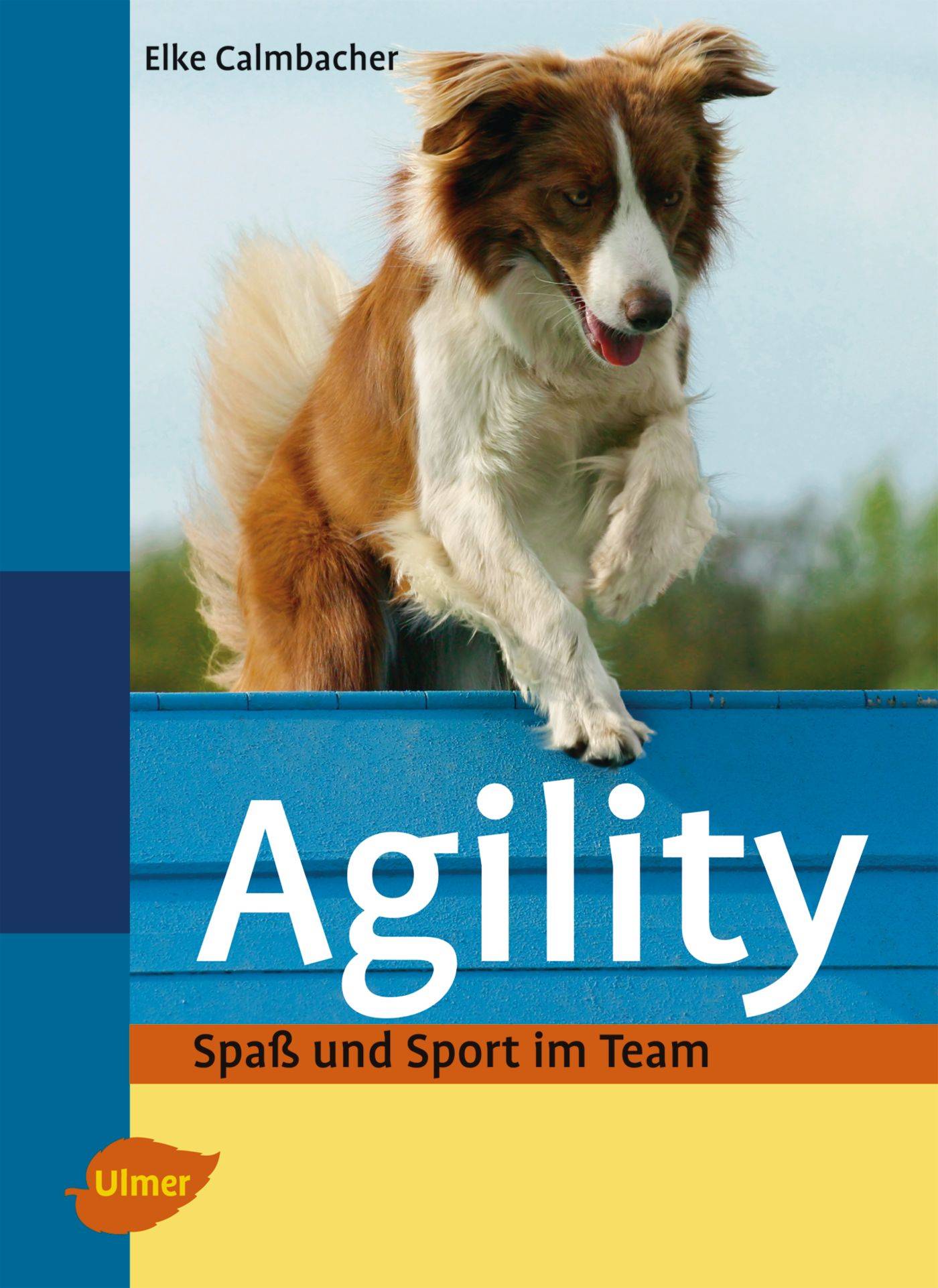Agility Spaß und Sport im Team