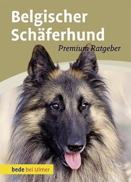 Belgischer Schäferhund Malinois, Groenendael, Tervueren, Laekenois