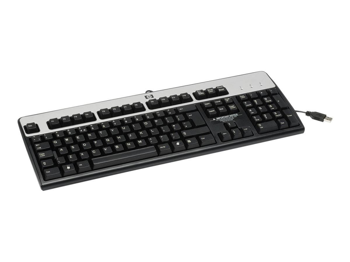 HPE Standard - Tastatur - USB - Spanisch - Silber