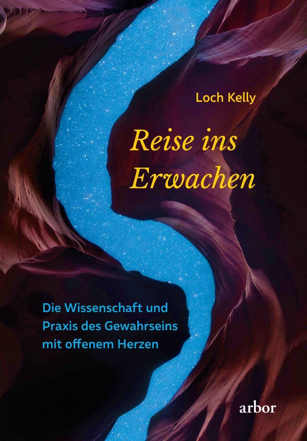 Reise ins Erwachen Die Wissenschaft und Praxis des Gewahrseins mit offenem Herzen