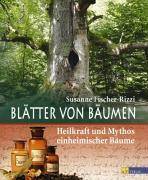 Blätter von Bäumen Heilkraft und Mythos einheimischer Bäume