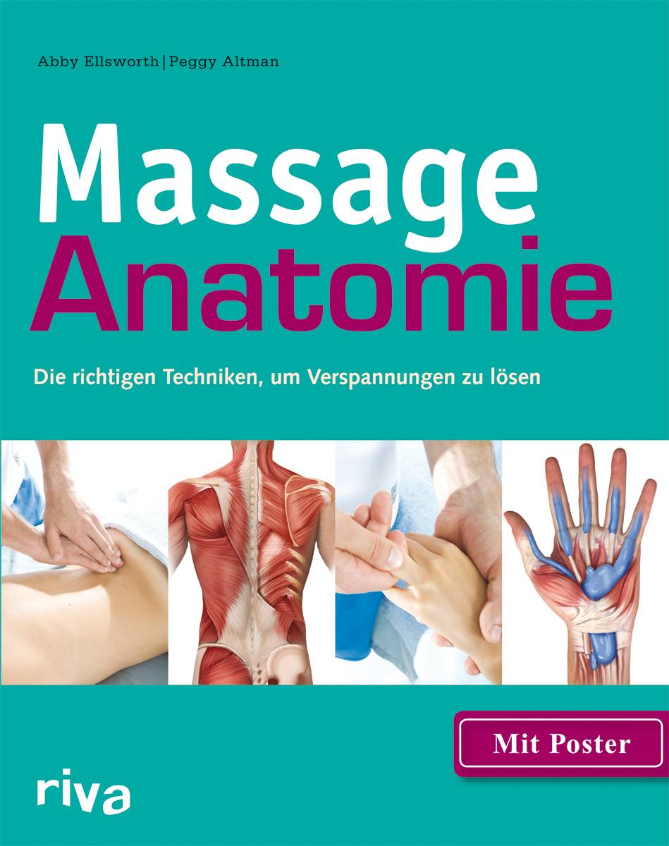 Massage-Anatomie Die richtigen Techniken, um Verspannungen zu lösen