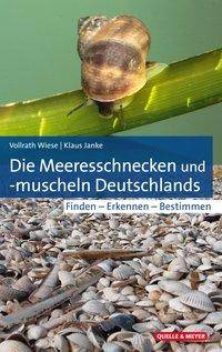 Die Meeresschnecken und -muscheln Deutschlands Finden - Erkennen - Bestimmen