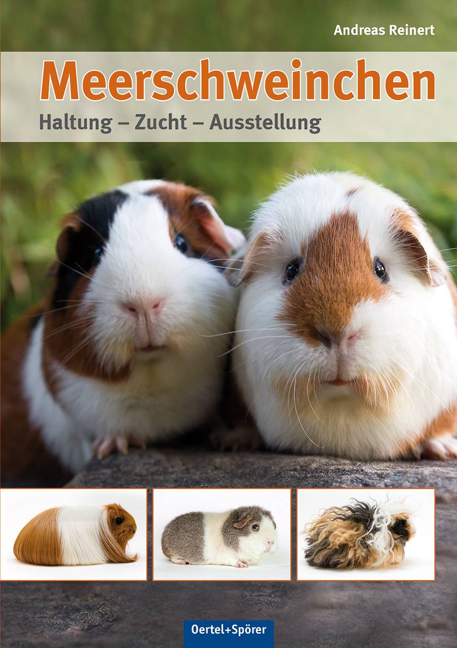 Meerschweinchen Haltung -  Zucht - Ausstellung