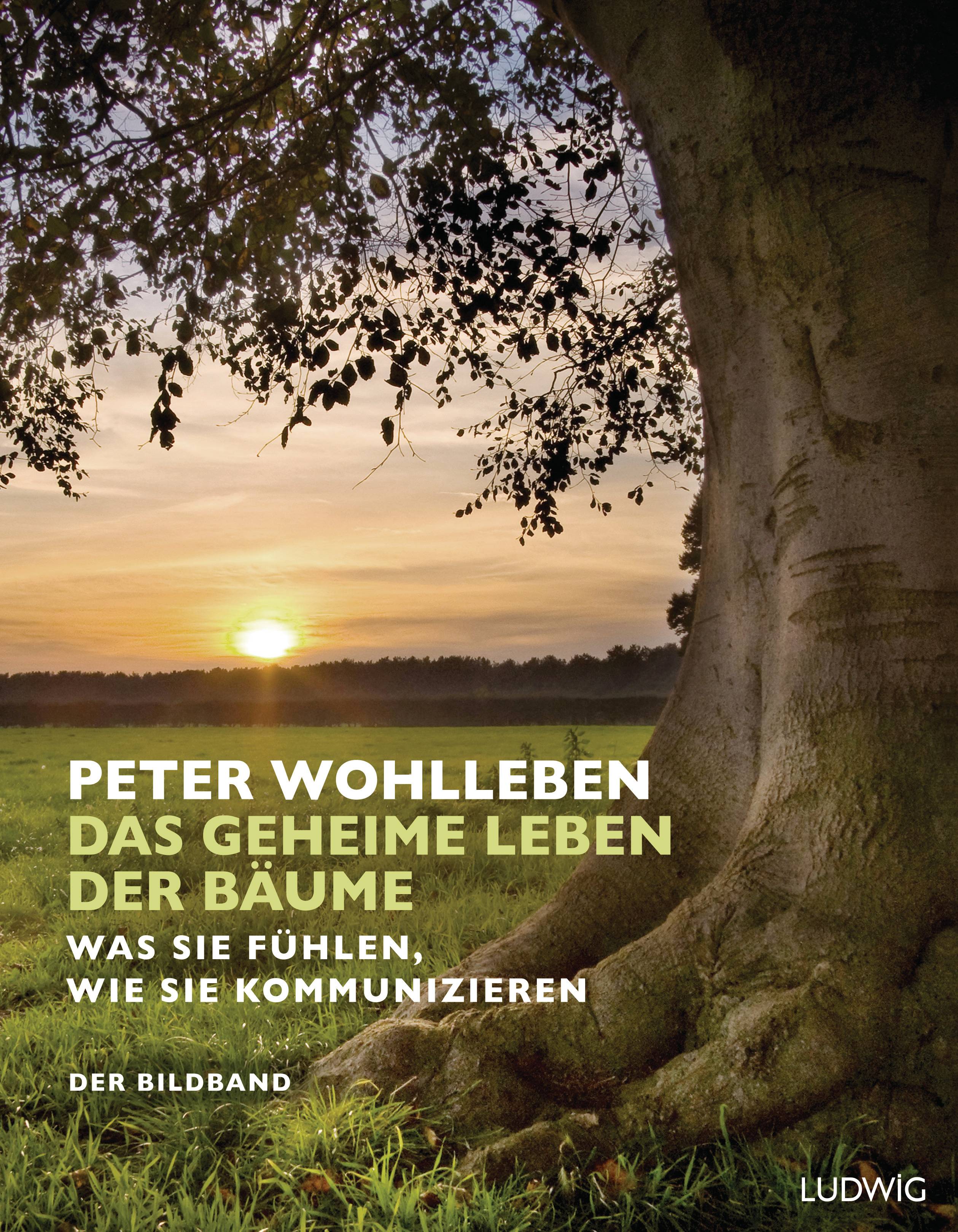 Das geheime Leben der Bäume Was sie fühlen, wie sie kommunizieren. Der Bildband. Mit dem vollständigen Text der Originalausgabe
