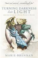 Turning Darkness into Light A Natural History of Dragons book