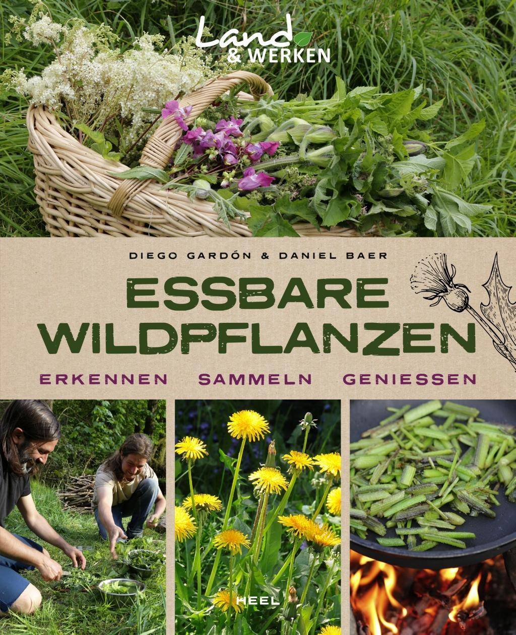 Essbare Wildpflanzen Erkennen, Sammeln, Genießen